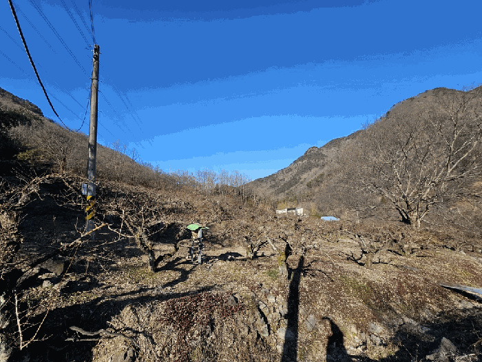 전라남도 구례군 문척면 중산리 465 전 경매 사진 4