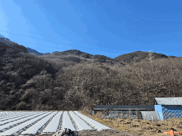 전라남도 구례군 문척면 중산리 462-1 외 1필지 전 경매 사진 6