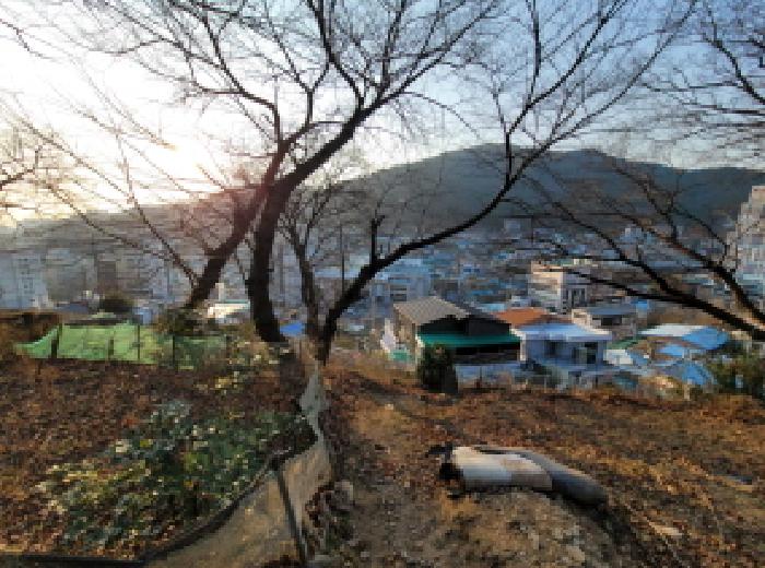 전라남도 여수시 연등동 192-1 전 경매 사진 5
