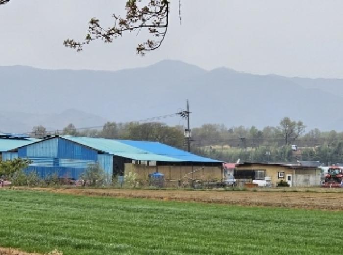 전라남도 구례군 광의면 대산리 270-8 외 8필지 동물및식물관련시설 경매 사진 1