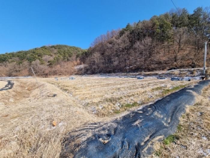 충청남도 금산군 남일면 황풍리 124-28 외 1필지 답 경매 사진 3
