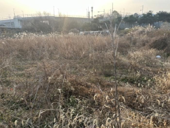 충청북도 증평군 증평읍 초중리 344-10 답 경매 사진 8
