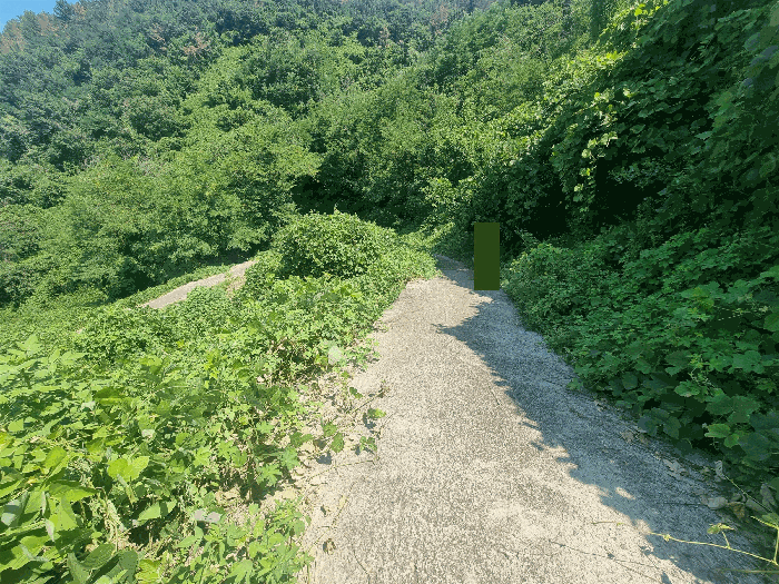 경상남도 김해시 진영읍 진영리 산58 임야 경매 사진 4