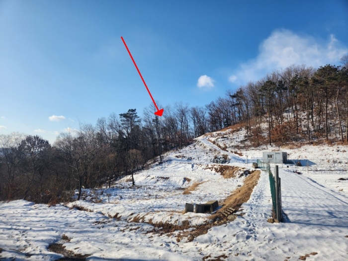 인천광역시 강화군 선원면 금월리 산12-6 임야 경매 사진 4