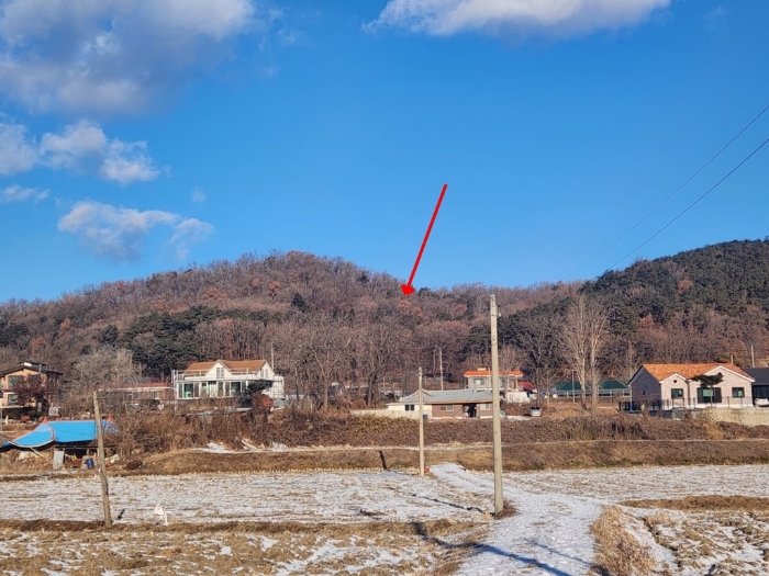 인천광역시 강화군 선원면 금월리 산12-6 임야 경매 사진 5
