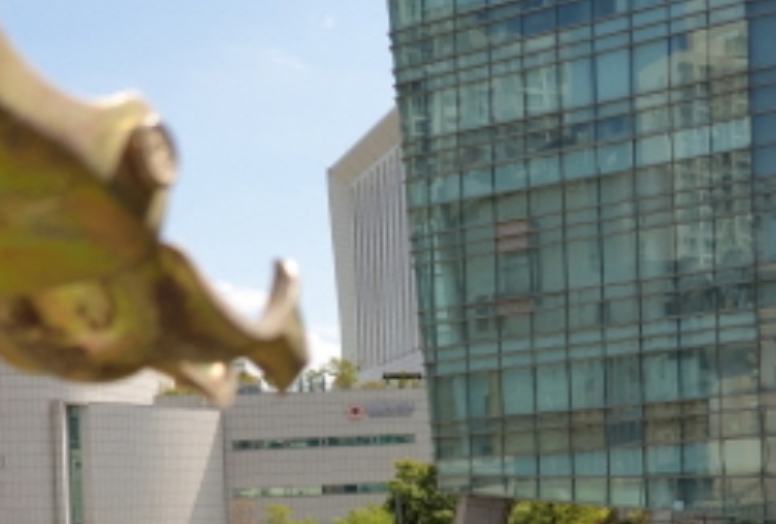서울특별시 성동구 도선동 34 대지 경매 사진 10
