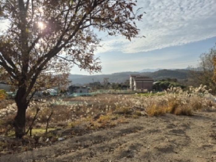 경상북도 경주시 강동면 안계리 589-1 외 4필지 유지 경매 사진 2