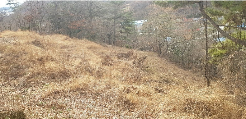 경상남도 사천시 축동면 구호리 363 전 경매 사진 2