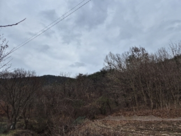 전라남도 화순군 도곡면 원화리 산18 임야 경매 사진 1
