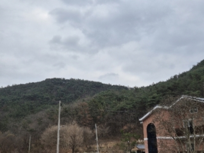 전라남도 화순군 도곡면 원화리 산18 임야 경매 사진 2