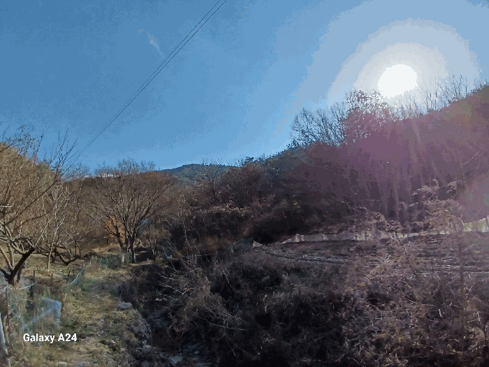 전라남도 화순군 도곡면 원화리 산18 임야 경매 사진 4