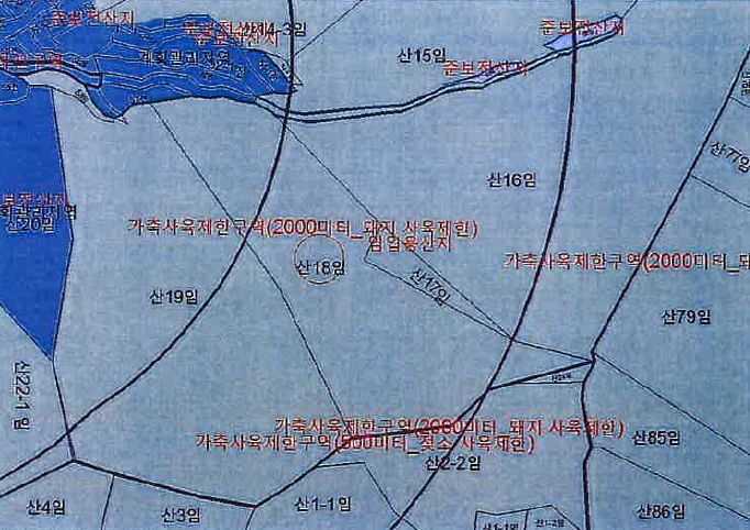 전라남도 화순군 도곡면 원화리 산18 임야 경매 사진 6