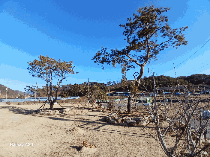 전라남도 곡성군 목사동면 대곡리 1344 대지 경매 사진 6