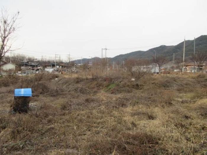 경상북도 예천군 예천읍 대심리 724 외 2필지 공장용지 경매 사진 5