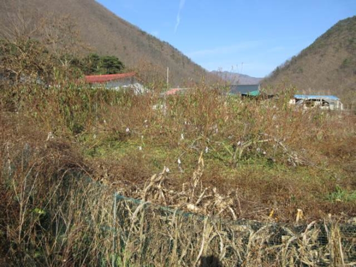 경상북도 문경시 마성면 하내리 236 전 경매 사진 1