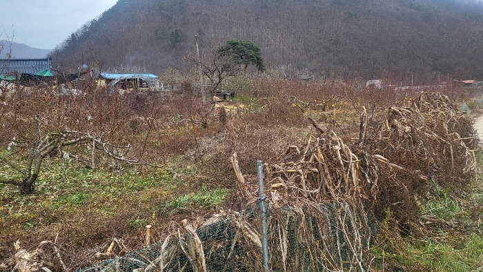 경상북도 문경시 마성면 하내리 236 전 경매 사진 2