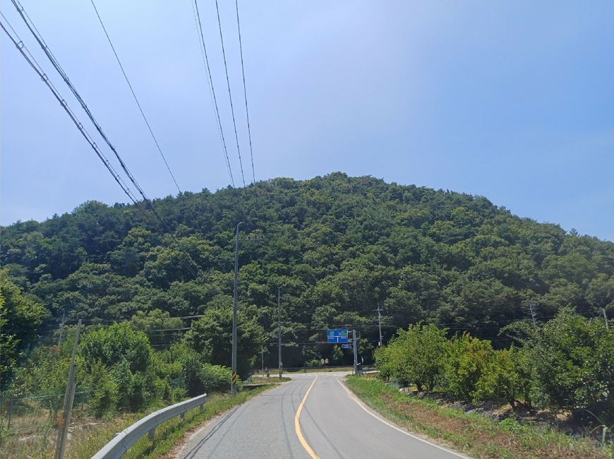 경상북도 성주군 용암면 상언리 산47 임야 경매 사진 1