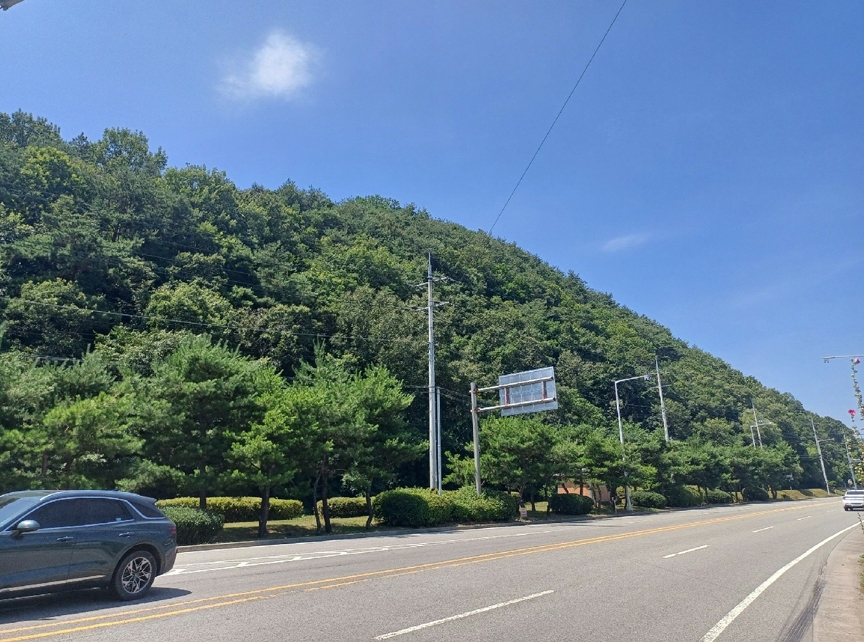 경상북도 성주군 용암면 상언리 산47 임야 경매 사진 2