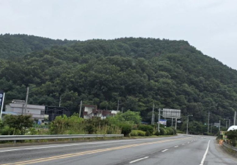 경상북도 성주군 용암면 상언리 산47 임야 경매 사진 6
