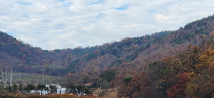 경상북도 구미시 산동읍 송산리 산37 임야 경매 사진 2