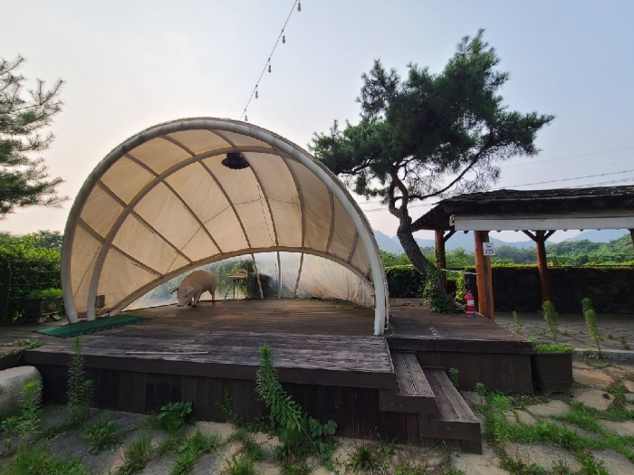 강원특별자치도 원주시 지정면 월송리 338-19 외 3필지 근린생활시설 경매 사진 73