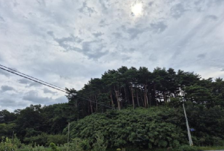 강원특별자치도 고성군 거진읍 화포리 산152-3 임야 경매 사진 20