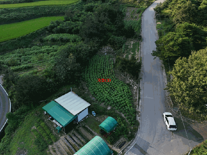 경상북도 구미시 무을면 무수리 335 전 경매 사진 19