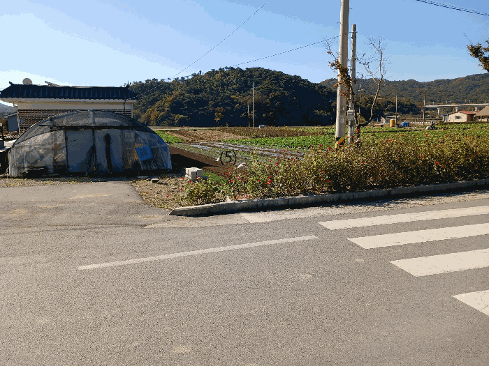 전라남도 장성군 북이면 달성리 407-55 전 경매 사진 2
