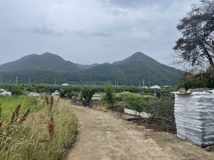 경상북도 영덕군 지품면 신양리 422 외 1필지 답 경매 사진 2