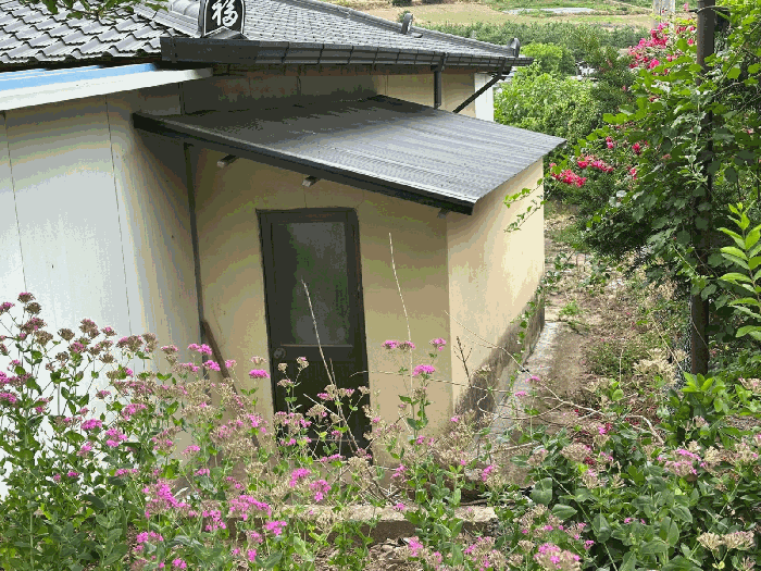 경상북도 영양군 석보면 택전리 817-2 주택 경매 사진 14