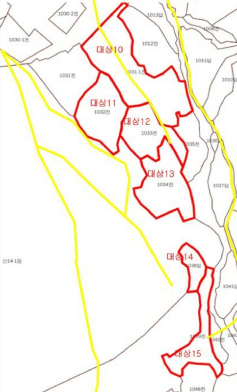 충청북도 제천시 덕산면 도전리 1038 외 1필지 임야 경매 사진 4