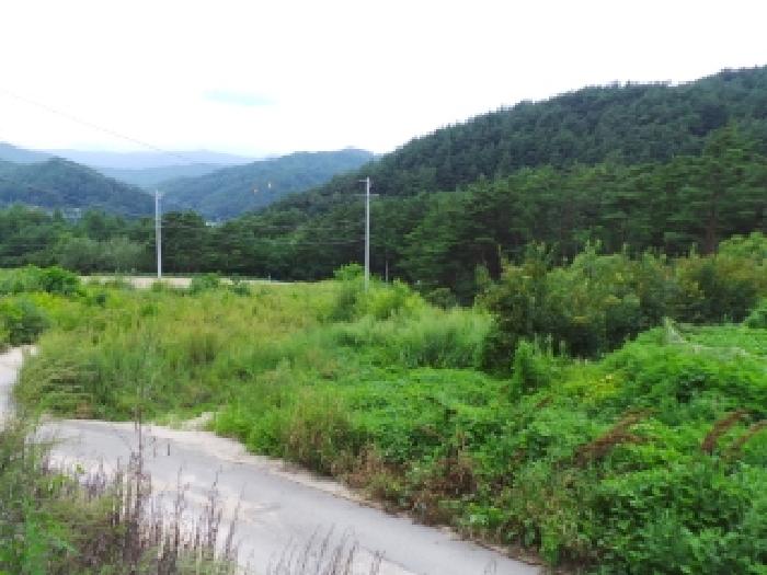 강원특별자치도 평창군 진부면 간평리 90-7 외 4필지 전 경매 사진 4
