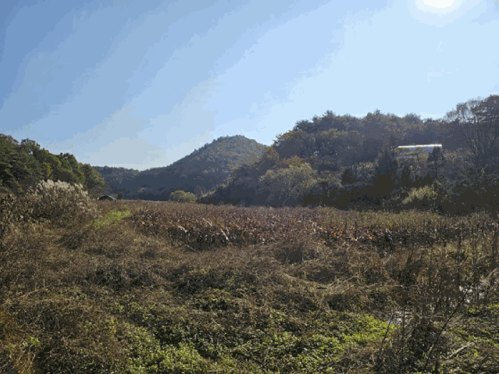 강원특별자치도 영월군 남면 토교리 325 외 5필지 답 경매 사진 5