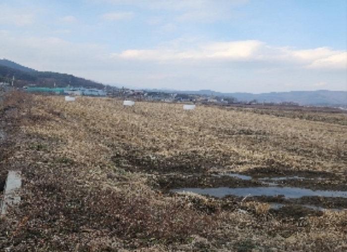 충청북도 영동군 매곡면 노천리 175 답 경매 사진 1