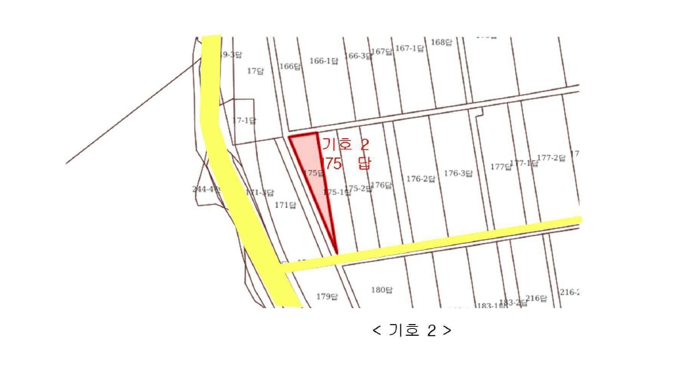 충청북도 영동군 매곡면 노천리 175 답 경매 사진 8