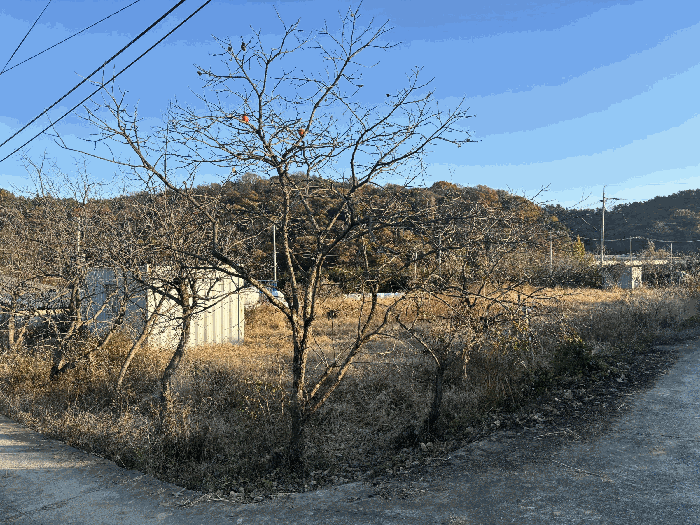 울산광역시 울주군 삼남읍 상천리 467-1 전 경매 사진 2