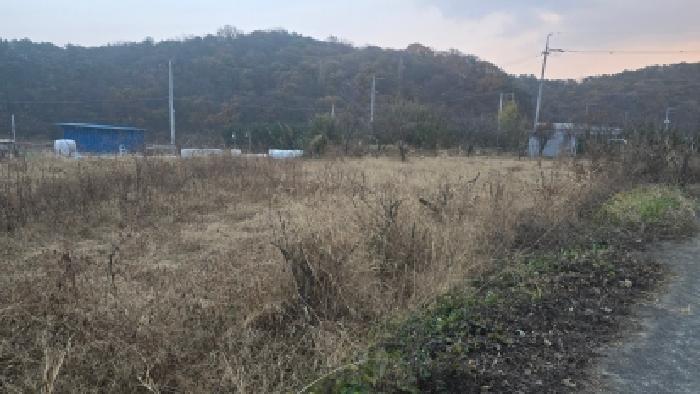울산광역시 울주군 삼남읍 상천리 467-3 전 경매 사진 2