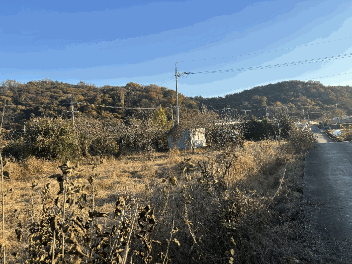 울산광역시 울주군 삼남읍 상천리 467-3 전 경매 사진 4