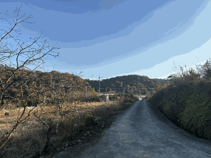 울산광역시 울주군 삼남읍 상천리 467-3 전 경매 사진 5